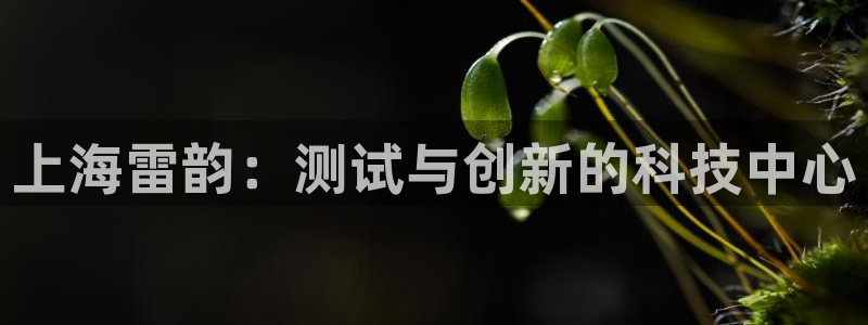 云顶国际app手机版下载安装：上海雷韵：测试与创新的科技中心
