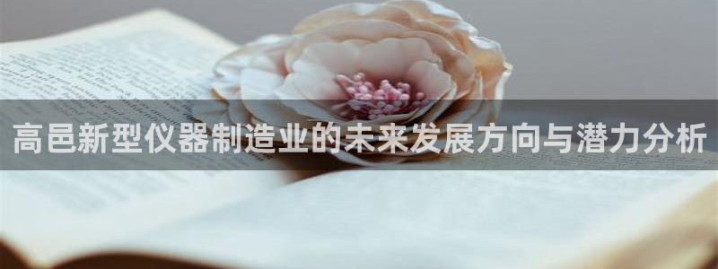 云顶集团有限公司简介地址：高邑新型仪器制造业的未来发展方向与