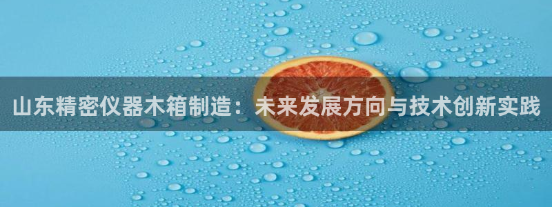 云顶国际高中学费多少钱：山东精密仪器木箱制造：未来发展方向与