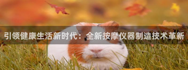 太原市云顶国际大酒店：引领健康生活新时代：全新按摩仪器制造技