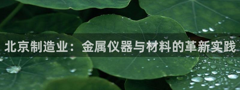 云顶国际线上平台：北京制造业：金属仪器与材料的革新实践