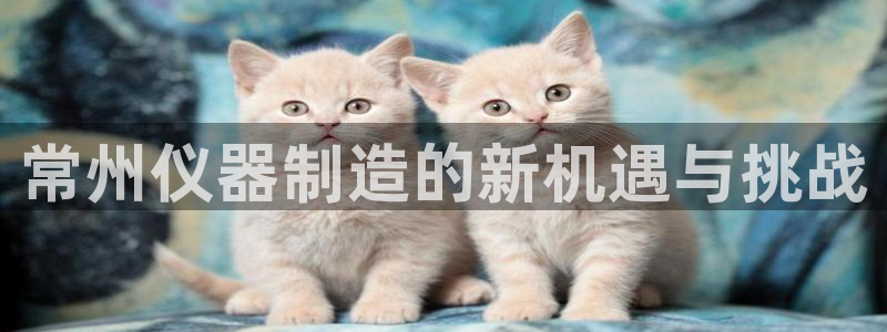 云顶国际商业广场 可以停车吗：常州仪器制造的新机遇与挑战