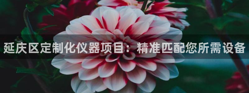 云顶国际服s9更新时间：延庆区定制化仪器项目：精准匹配您所需
