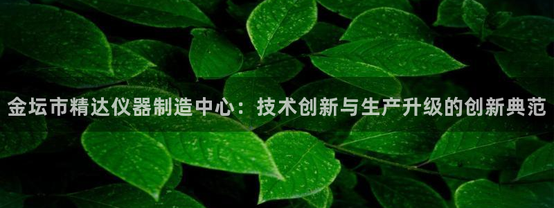 云顶国际KTV：金坛市精达仪器制造中心：技术创新与生产升级的