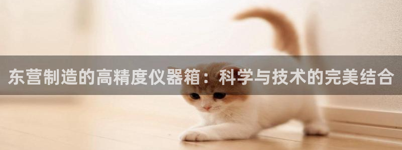 云顶国际游戏网址：东营制造的高精度仪器箱：科学与技术的完美结