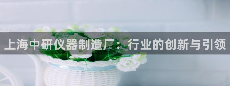 云顶国际酒店几星级最高：上海中研仪器制造厂：行业的创新与引领