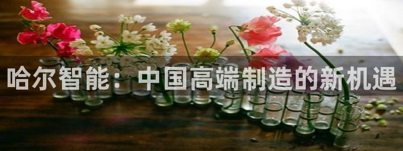 云顶国际饭店：哈尔智能：中国高端制造的新机遇