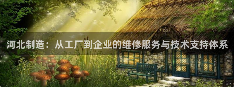 云顶集团网投领跑者：河北制造：从工厂到企业的维修服务与技术支