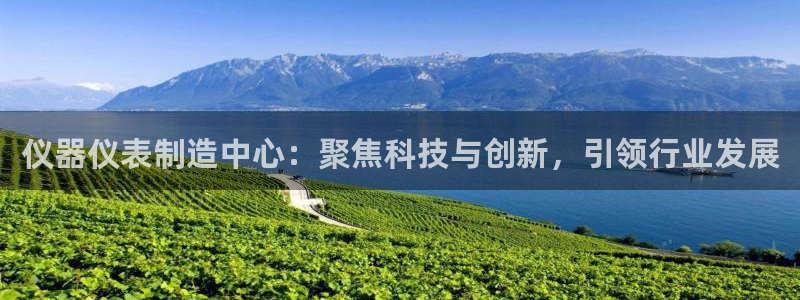 云顶国际在线登录不了：仪器仪表制造中心：聚焦科技与创新，引领