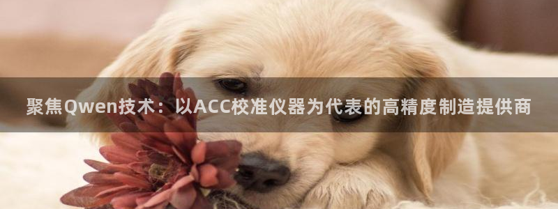 云顶集团董事长林东简历：聚焦Qwen技术：以ACC校准仪器为