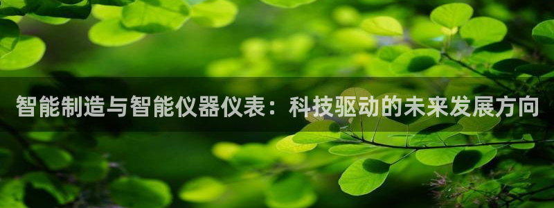 云顶国际百姓渔村：智能制造与智能仪器仪表：科技驱动的未来发展