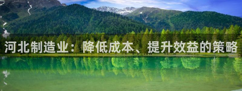 云顶国际足球app下载最新版：河北制造业：降低成本、提升效益