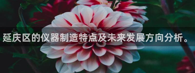 云顶国际高中：延庆区的仪器制造特点及未来发展方向分析。