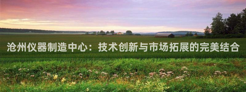 云顶国际广场：沧州仪器制造中心：技术创新与市场拓展的完美结合