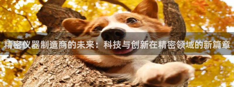 云顶国际商业广场商户：精密仪器制造商的未来：科技与创新在精密