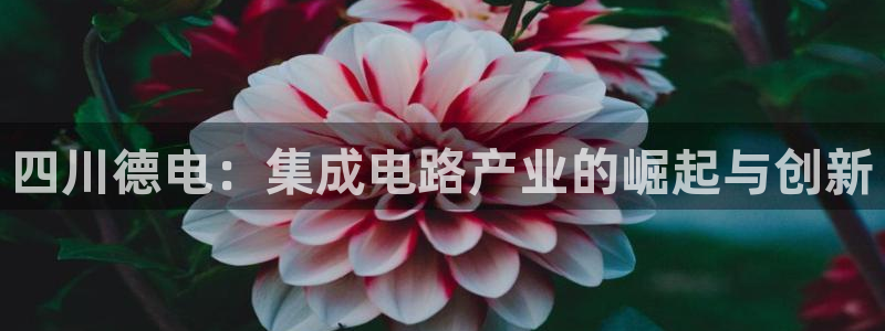 云顶集团官网电话号码：四川德电：集成电路产业的崛起与创新
