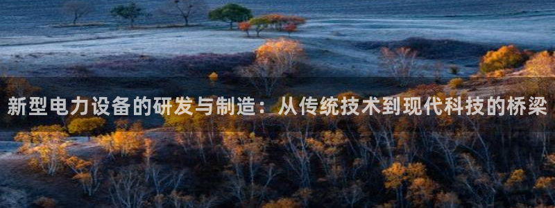 云顶集团进入官网：新型电力设备的研发与制造：从传统技术到现代