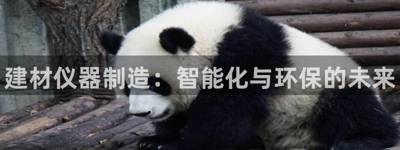 云顶国际大酒店位于：建材仪器制造：智能化与环保的未来