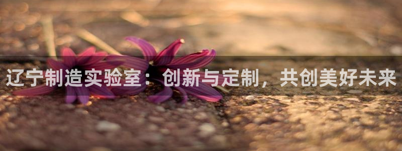 云顶国际服什么时候更新s117：辽宁制造实验室：创新与定制，