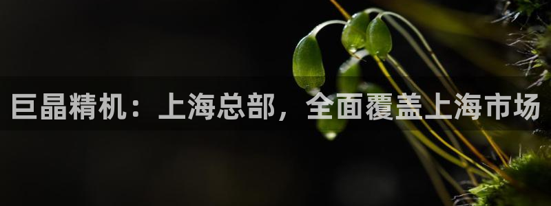 云顶集团有限公司,林东简历：巨晶精机：上海总部，全面覆盖上海