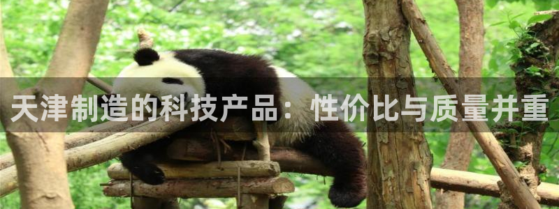 云顶国际培训机构：天津制造的科技产品：性价比与质量并重