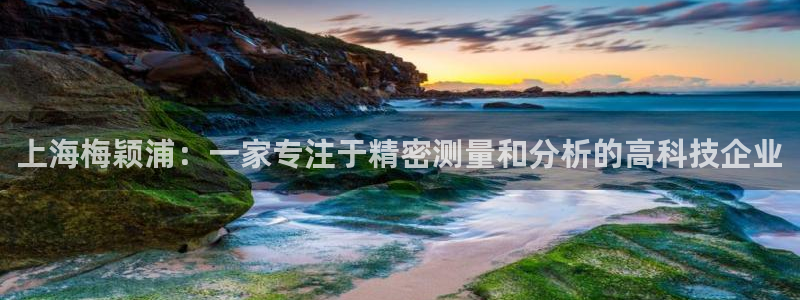 云顶国际公馆是公寓吗：上海梅颖浦：一家专注于精密测量和分析的