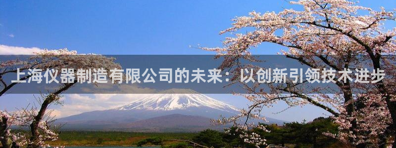 云顶国际服和美服通的吗：上海仪器制造有限公司的未来：以创新引