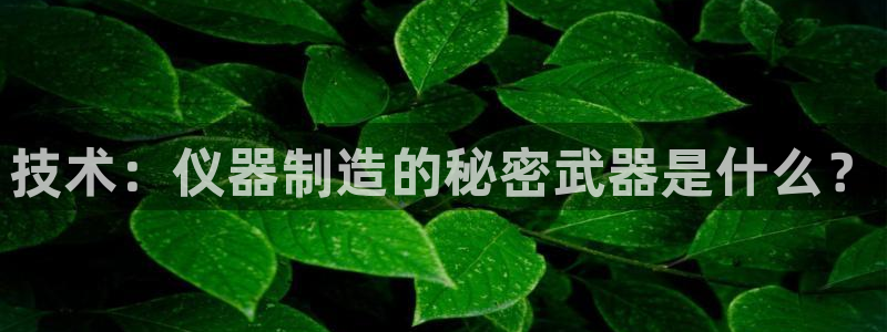 云顶国际ktv会所地址：技术：仪器制造的秘密武器是什么？