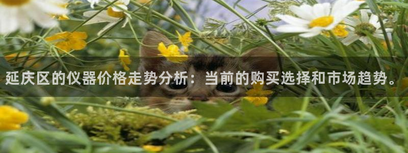 云顶集团网站多少：延庆区的仪器价格走势分析：当前的购买选择和