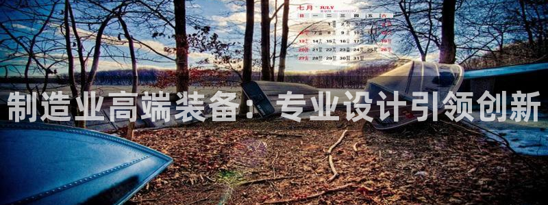 云顶国际公馆在哪个区：制造业高端装备：专业设计引领创新