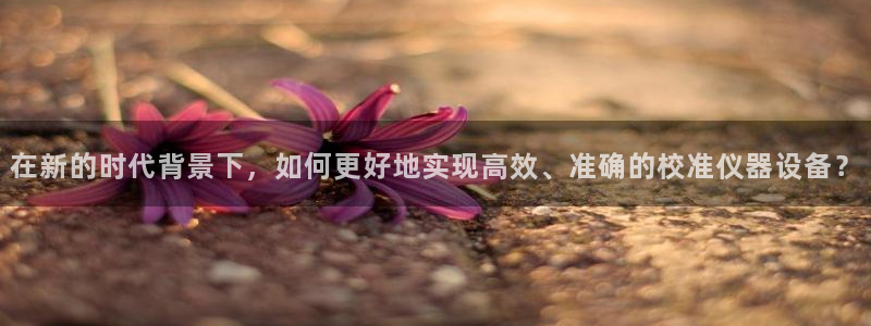 中国云顶集团：在新的时代背景下，如何更好地实现高效、准确的校