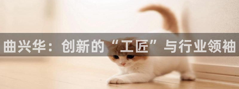 云顶国际集团app：曲兴华：创新的“工匠”与行业领袖