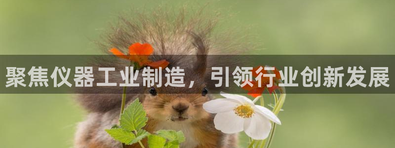 云顶国际app下载安装：聚焦仪器工业制造，引领行业创新发展